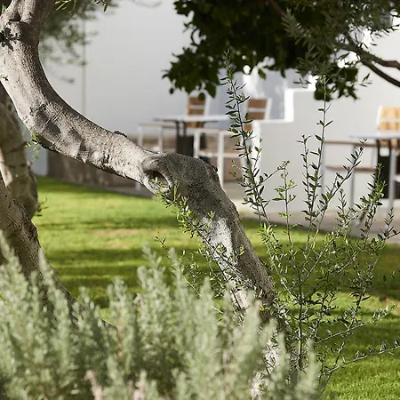 Hotel Santa Maria Village & Adamantas (Milos)